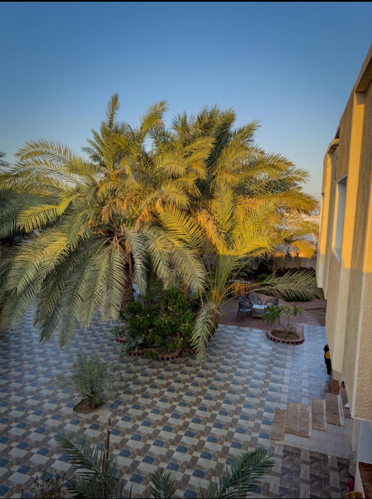 Miramar Camp Dahab Hotell Exteriör bild