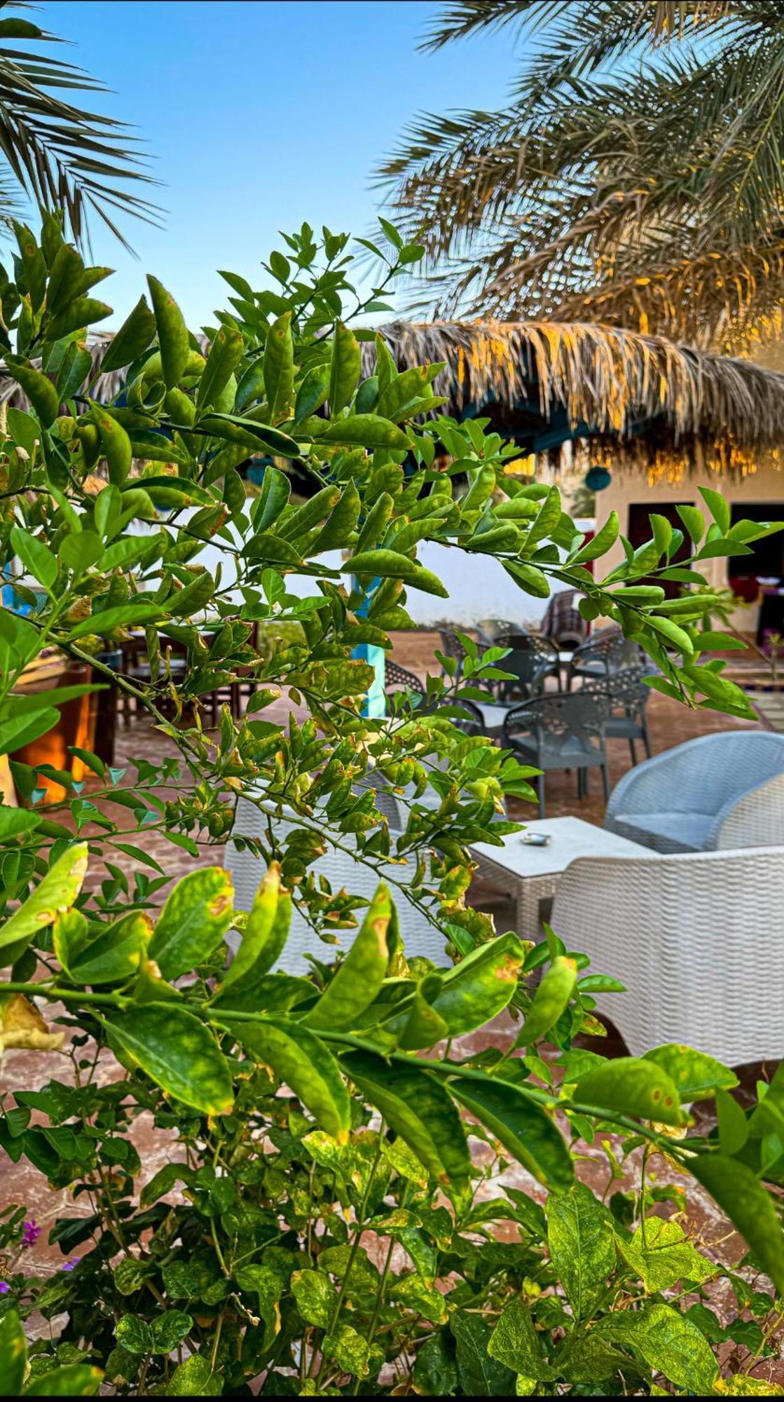 Miramar Camp Dahab Hotell Exteriör bild