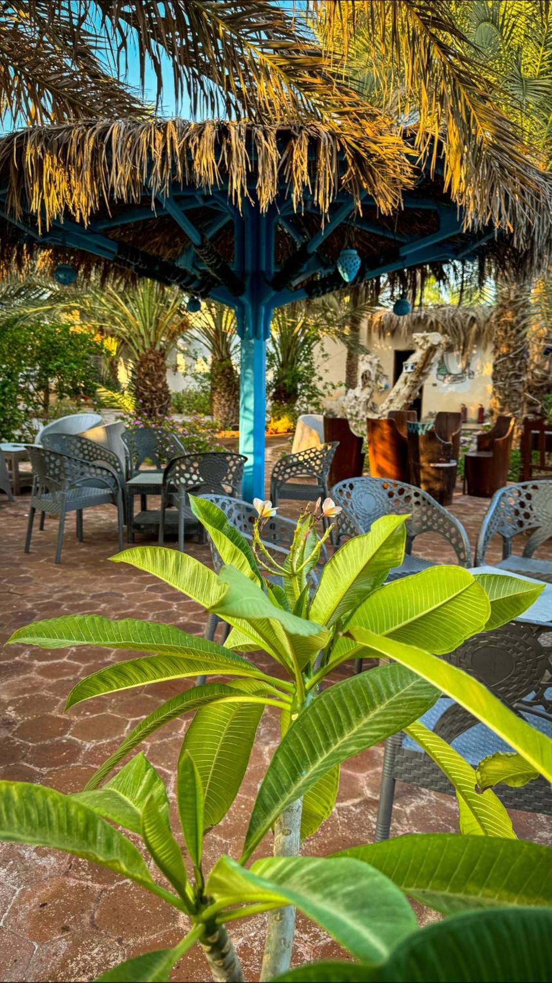 Miramar Camp Dahab Hotell Exteriör bild
