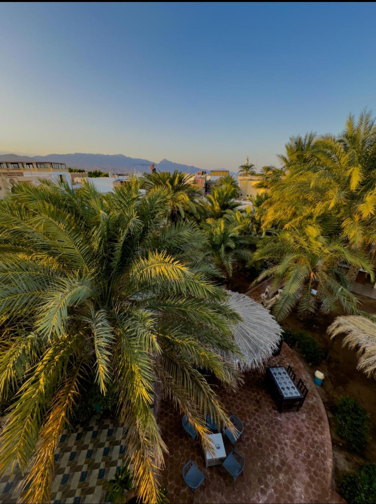 Miramar Camp Dahab Hotell Exteriör bild