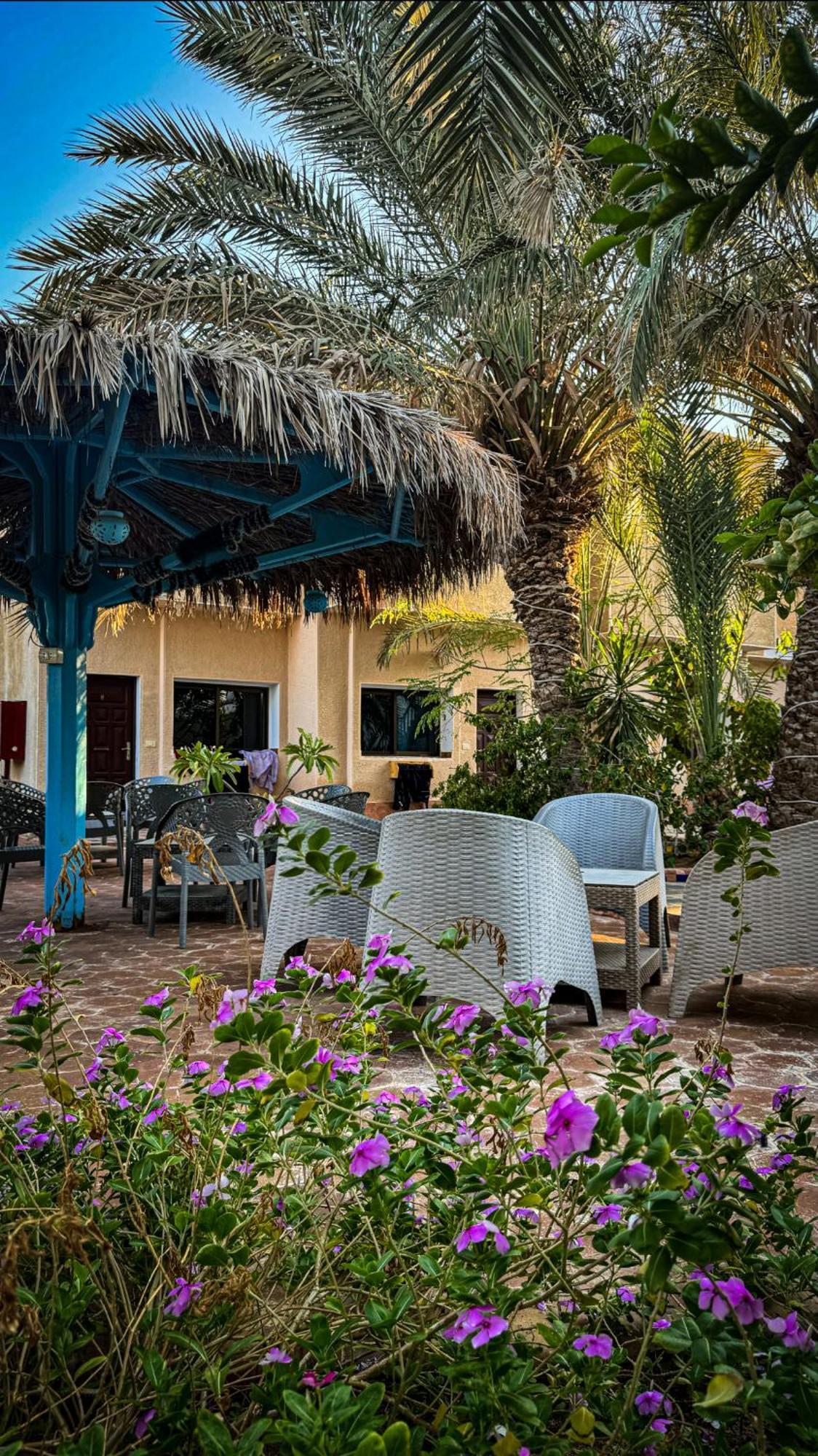 Miramar Camp Dahab Hotell Exteriör bild