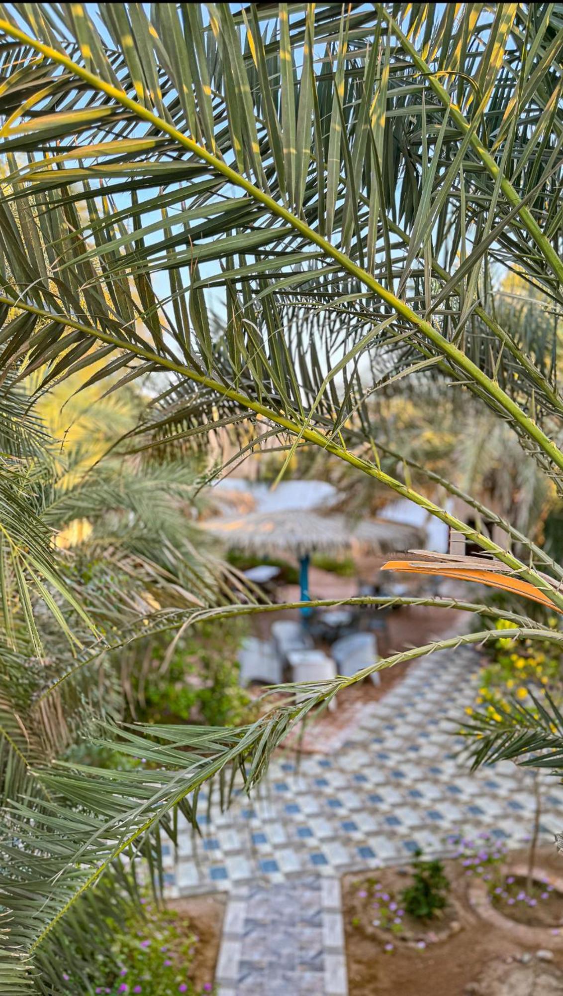 Miramar Camp Dahab Hotell Exteriör bild