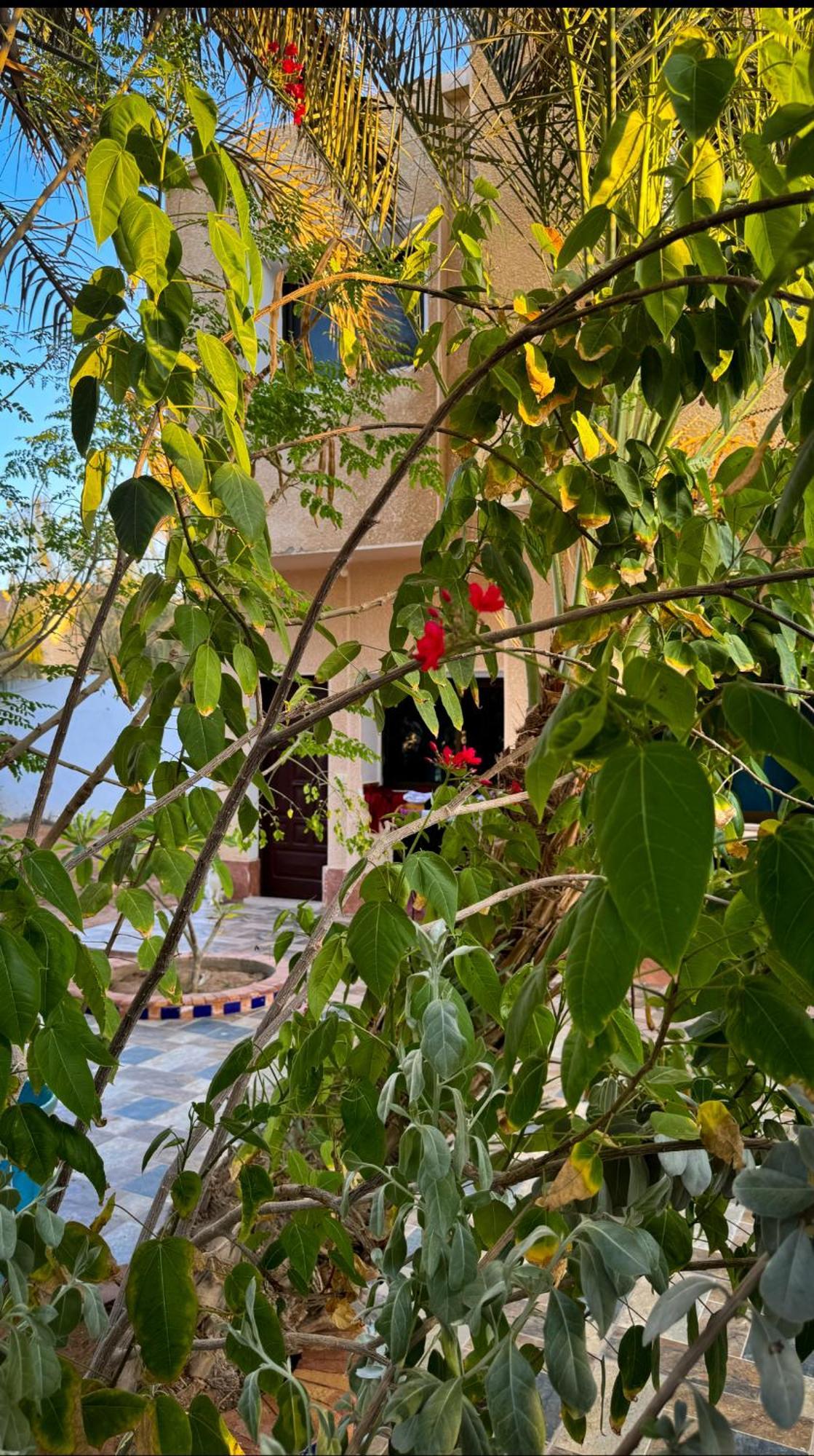 Miramar Camp Dahab Hotell Exteriör bild
