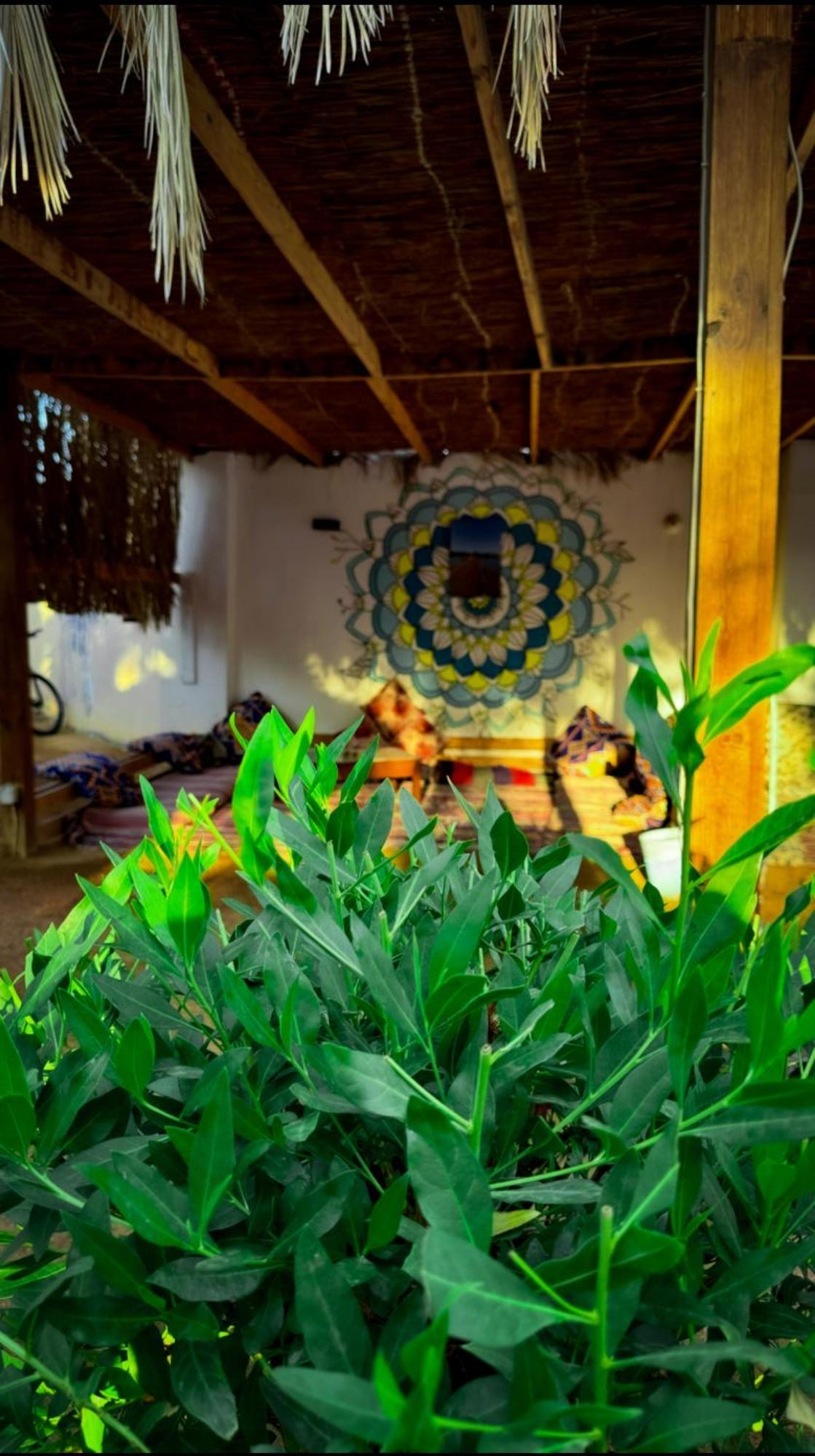 Miramar Camp Dahab Hotell Exteriör bild