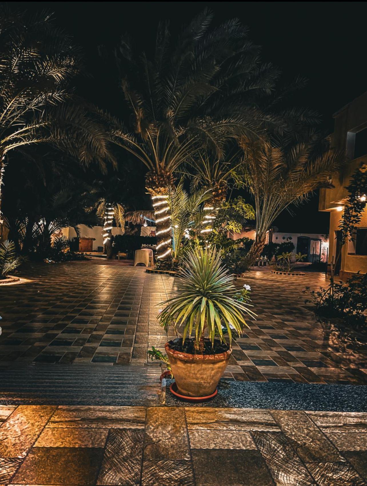 Miramar Camp Dahab Hotell Exteriör bild