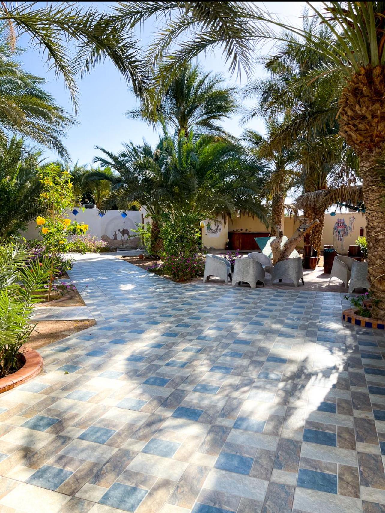 Miramar Camp Dahab Hotell Exteriör bild